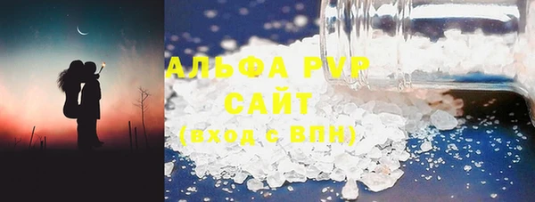 шишки Абаза