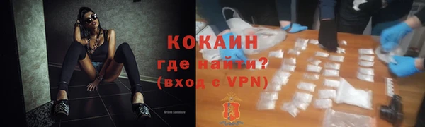 шишки Абаза