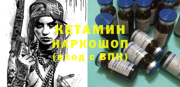 шишки Абаза