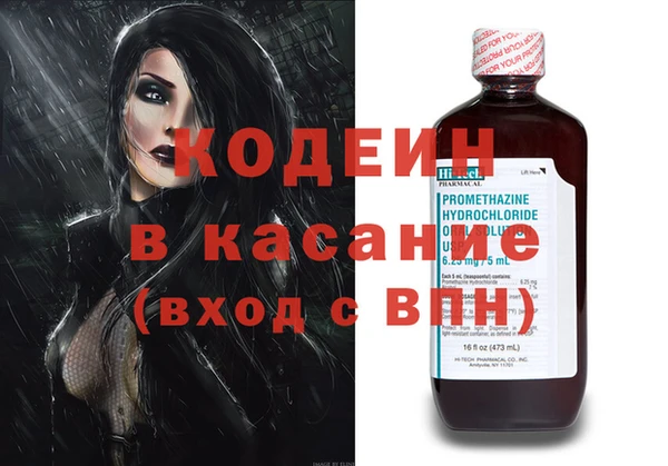 шишки Абаза