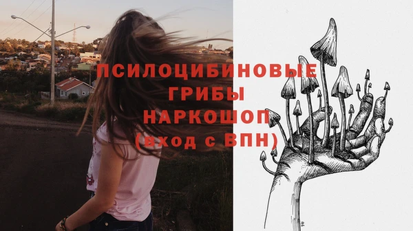 мескалин Алексин