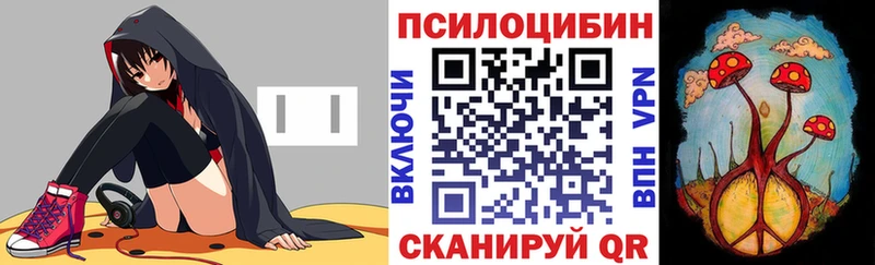 что такое   Южно-Сухокумск  Галлюциногенные грибы Cubensis 